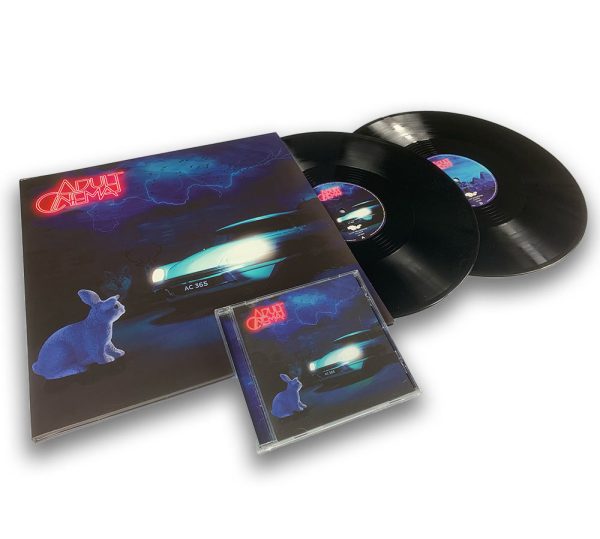 '365' CD + 180 GRAM BLACK DOUBLE GATEFOLD VINYL SET - Image 4