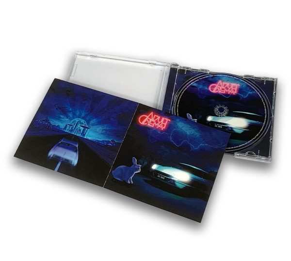 '365' CD + 180 GRAM BLACK DOUBLE GATEFOLD VINYL SET - Image 16