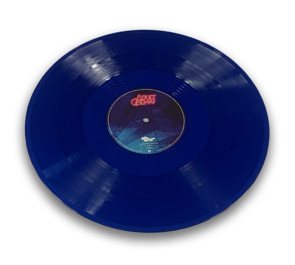 '365' 180 GRAM BLUE GATEFOLD DOUBLE VINYL - Image 7