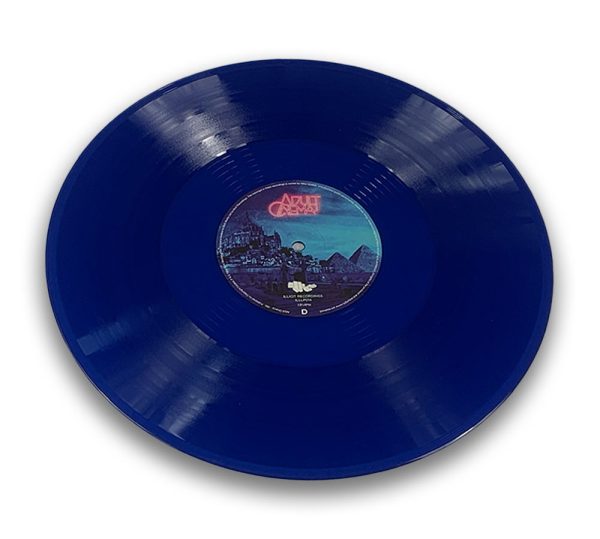 '365' 180 GRAM BLUE GATEFOLD DOUBLE VINYL - Image 9